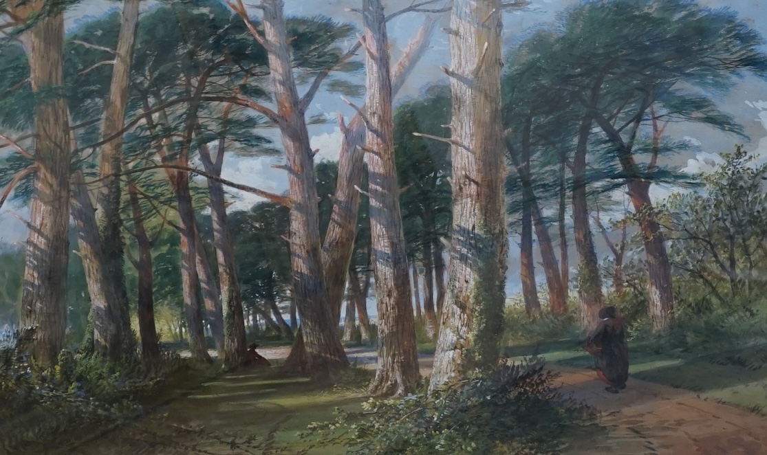 William Williams of Plymouth (1808-1895), watercolour, ‘tree lined pathway’, signed, 35 x 52.5cm. Condition - fair